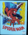 Bootleg SpiderMan RU MD Saga Box Front.png