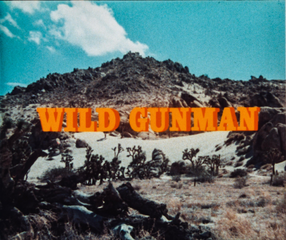Wild Gunman title.png