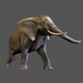 JamboSafari Elephant.jpg
