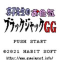 Saeko-sensei GG TitleScreen.png