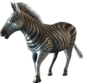 JamboSafari Zebra.png