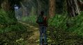 Shenmue forest.jpeg