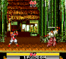 Samurai Shodown GG, Stages, Jubei.png