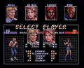 Early BK3 character select screen.png