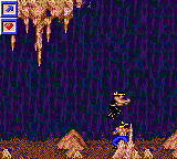 Surf Ninjas, Hidden Stage Boss.png