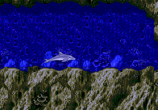 Ecco MD Start.png