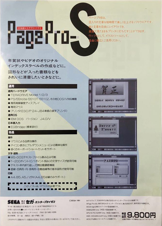 PageProS Teradrive JP Flyer Page2.jpg