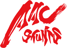 AACStunts logo.png
