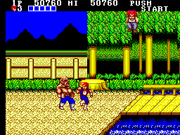 Double Dragon SMS, Stage 3-2.png