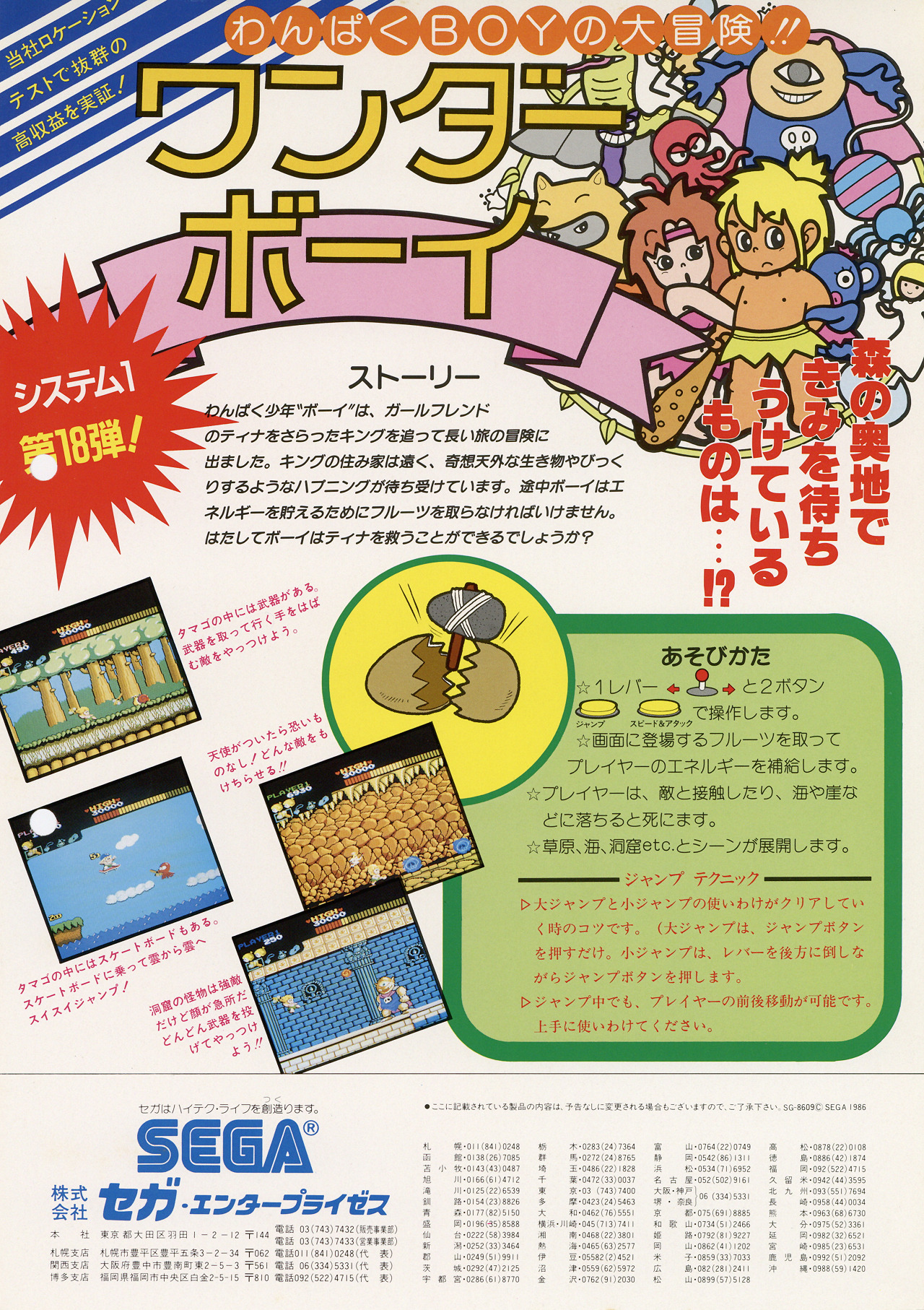 Wonder Boy Arcade JP Flyer.jpg
