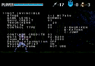 ShinobiLegions Saturn Debug1.png