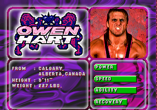 WWF In Your House Saturn, Profiles, Owen Hart.png