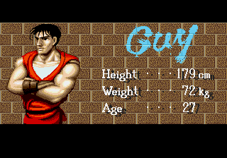 Final Fight CD, Profiles, Guy JP.png
