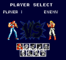 Fatal Fury Special GG, Character Select.png
