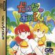 DainaAiranYokoku Saturn JP Box Front.jpg