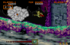 Ghouls'n Ghosts Saturn, Stage 3 Boss.png