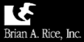 BrianARiceInc logo.png