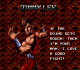 Battletoads-Double Dragon, Characters, Jimmy Lee.png