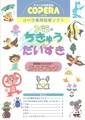 CnCC pico jp manual.pdf