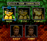 Battletoads-Double Dragon, Character Select.png