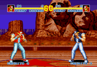 Fatal Fury Special CD, Stages, Terry Bogard.png