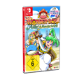 ININPressKit Wonder Boy - Asha in Monster World Packshot Nintendo Switch DE.png