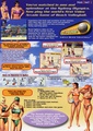 Beach Spikers Arcade EU Flyer.pdf