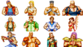 Fatal Fury 2, Characters.png