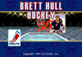 BrettHullHockey95 title.png