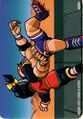 VirtuaFighter Carddass Card 14 Back.jpg