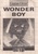 Wonderboy gg br manual.pdf