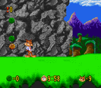 Bubsy Chapter3.png