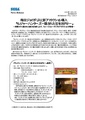 PressRelease JP 2004-12-21 2.pdf
